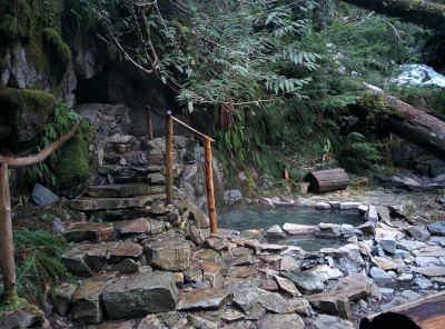 Goldmeyer hot springs