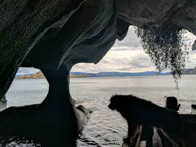 Boat in cave with dog